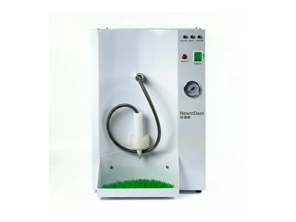 S-501 single pen dental steam cleaner for dental lab cleaning